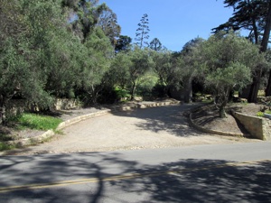 14806456 Alston Road