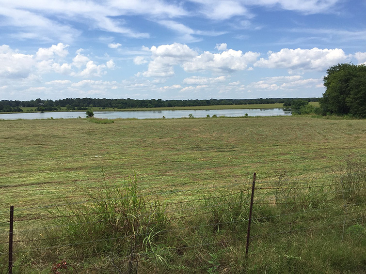 14808975 Montgomery County 860 acres