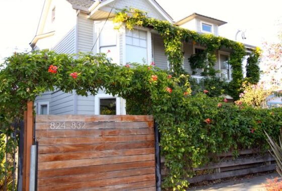 14809299 830 Milton St