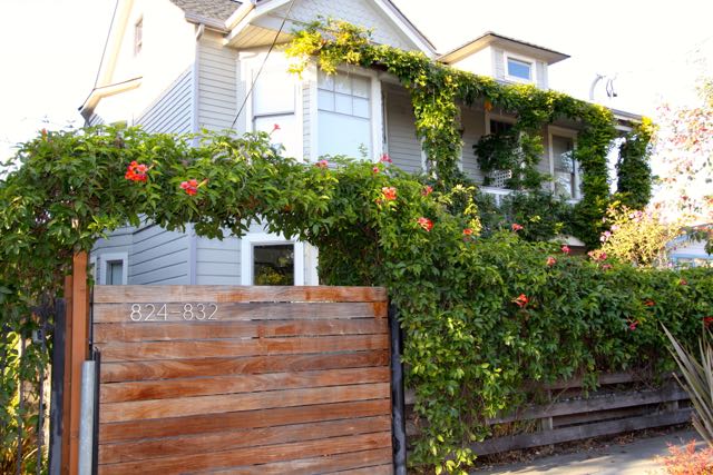 14809299 830 Milton St
