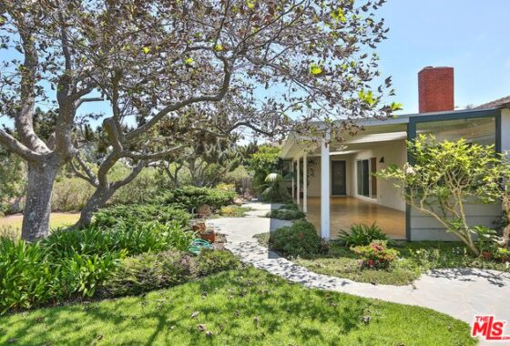 14811706 28943 GRAYFOX Street