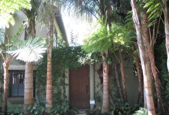 14815497 246 15th Street