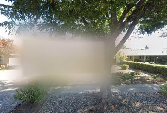 15418C1636932837059 1462 Crespi Dr