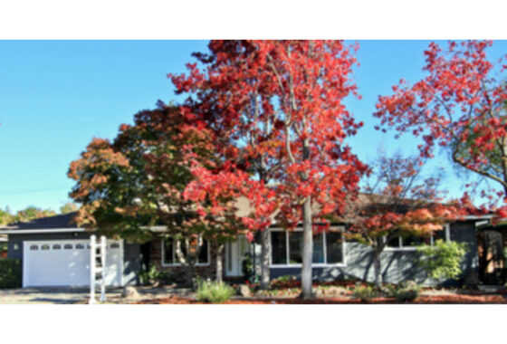 15418C1637031423170 1863 Orangetree Lane