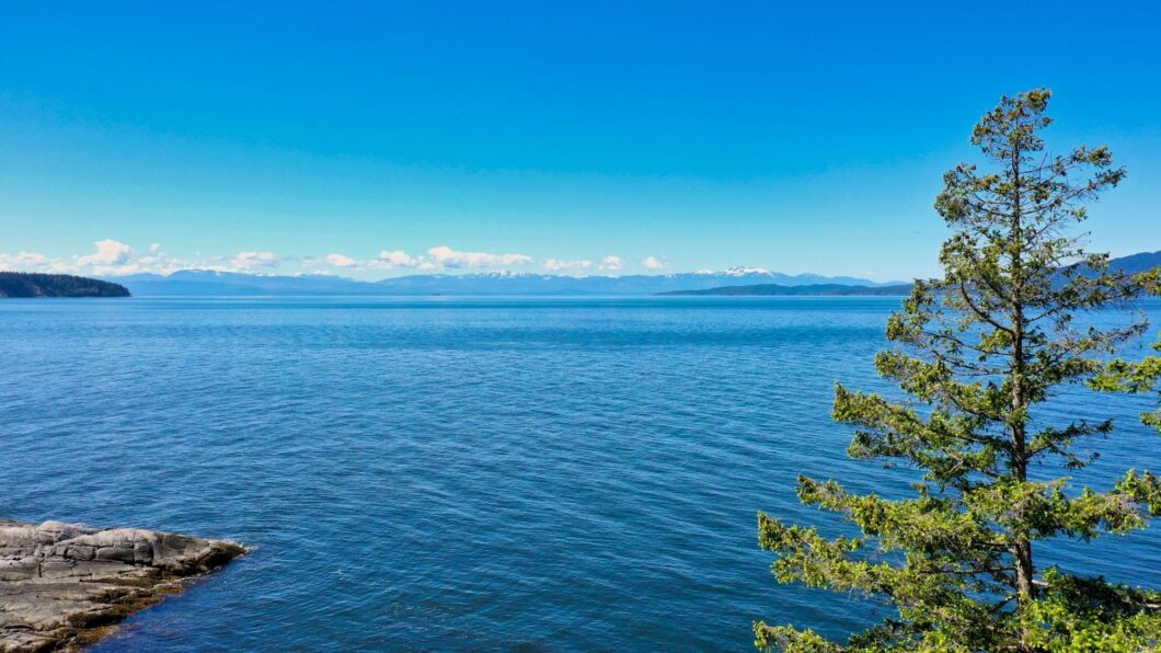 17458C1631655788412 10991 Sunshine Coast