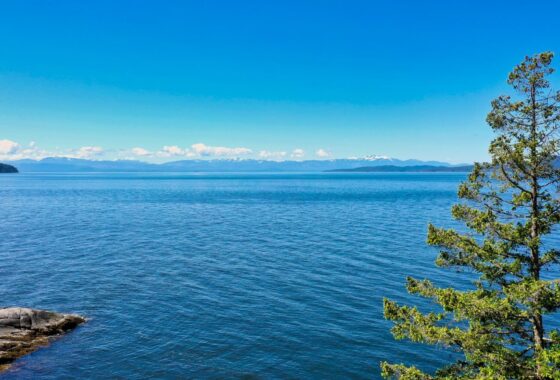 17458C1631655788412 10991 Sunshine Coast