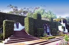 1805 768 Ayala Ln.