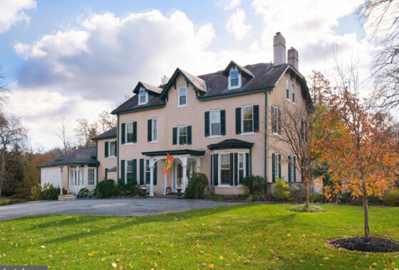 18308C1575523087073 521 LEOPARD ROAD