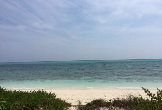 21820C1631626008454 200 Acre Beachfront Property