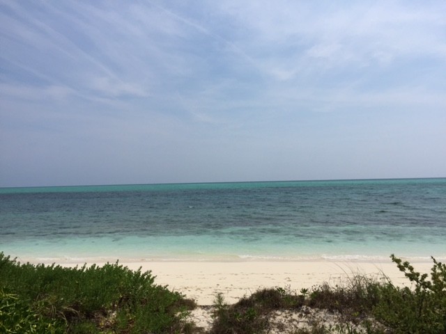 21820C1631626008454 200 Acre Beachfront Property