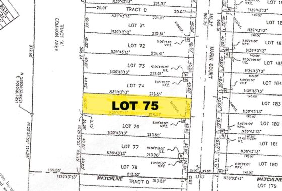 21820C1637245011111 Ginn Sur Merr Lot