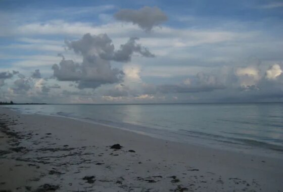 21820C1665068048883 32 acres of beautiful beachfront just west of Pelican Point