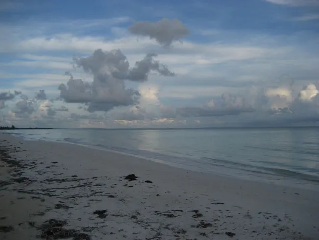 21820C1665068048883 32 acres of beautiful beachfront just west of Pelican Point