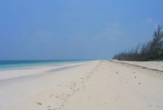 21820C1678200338376 Breathtaking Large Beachfront Tract