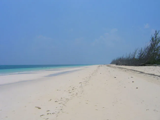 21820C1678200338376 Breathtaking Large Beachfront Tract