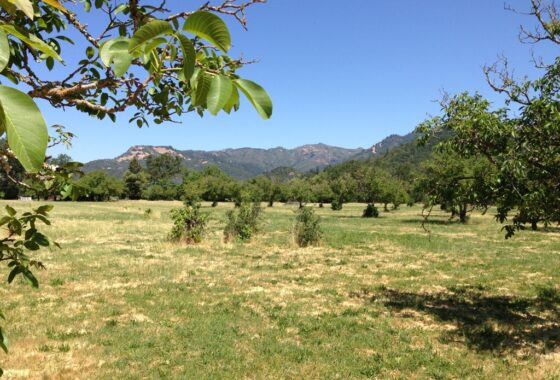 26140 1090 Bale Lane