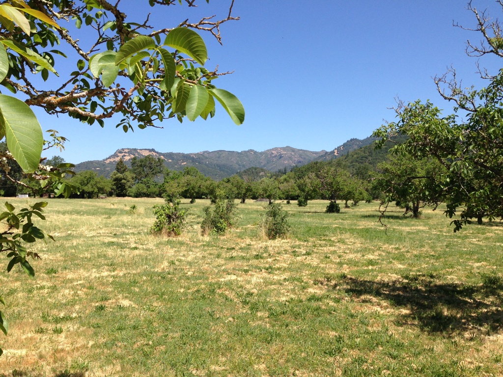 26140 1090 Bale Lane