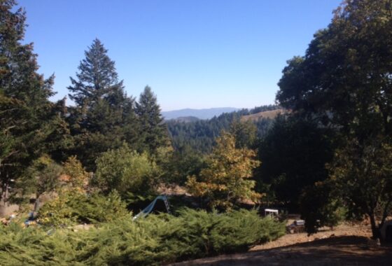 28186 3440 Mt. Veeder Road