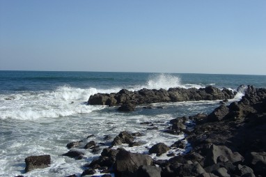 36326 El Zapote, Jucuaran