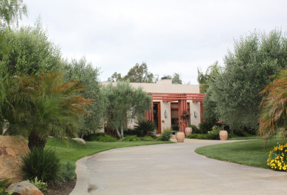 37536 #1 VALLE DE ORO