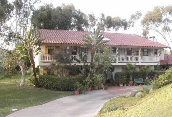 37584 14432 Mil Arboles