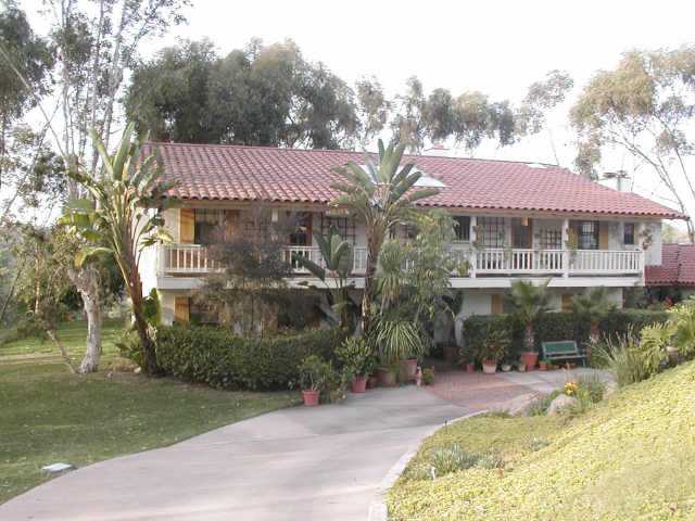 37584 14432 Mil Arboles
