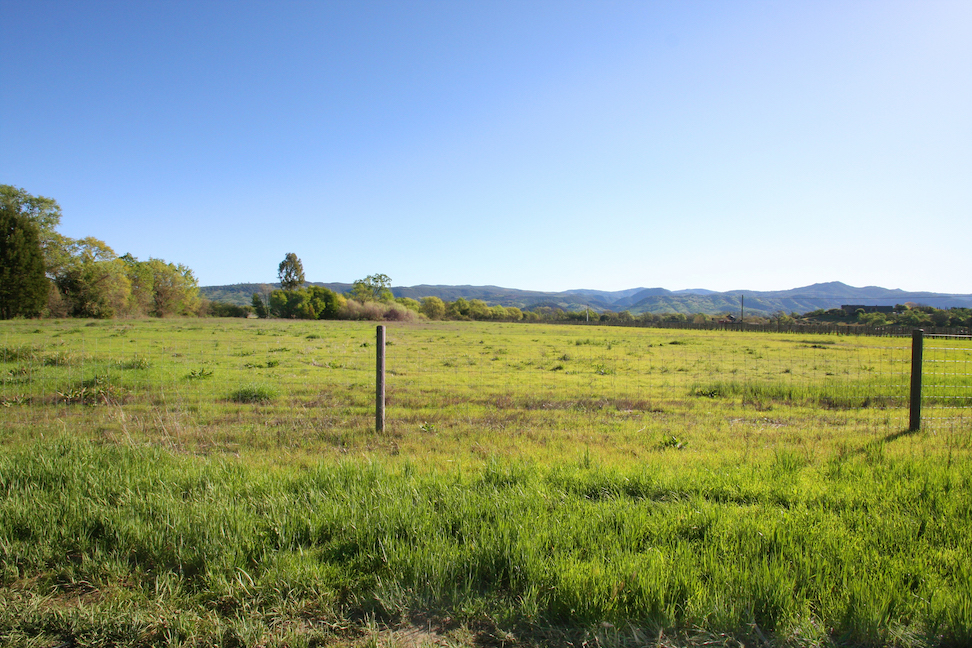 38438 Saint Helena Highway