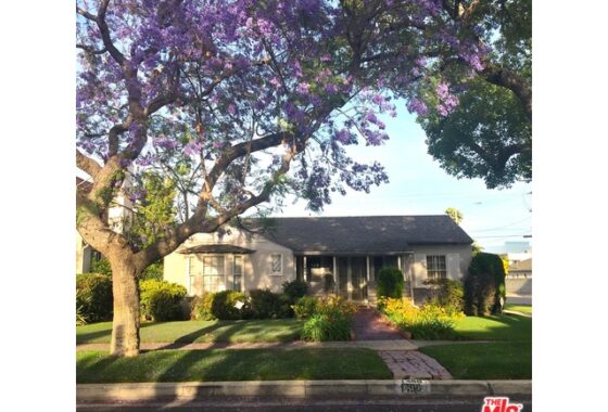 39051 1490 Glenville Dr.