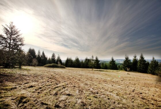 41594 14960 NE Cunningham Lane