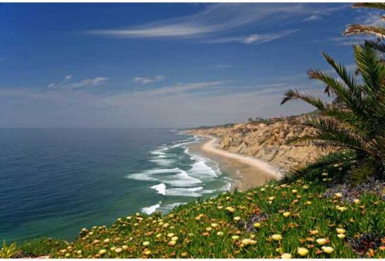 42240 9030 La Jolla Shores Lane