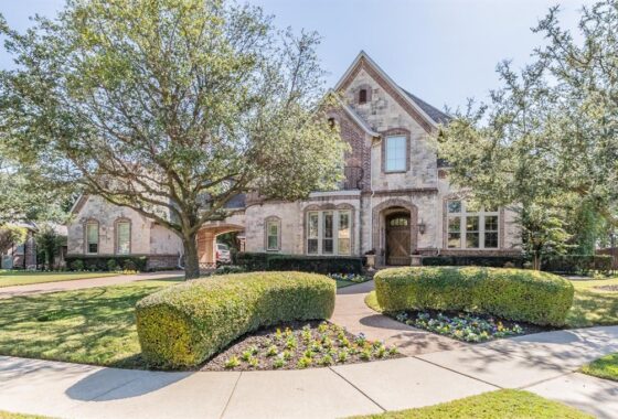 42459C1639083993678 905 Chateau