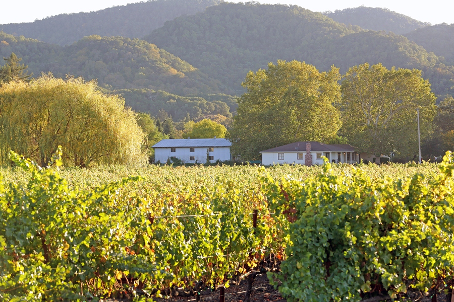 45711 2045 Hoffman Lane