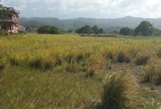 46967 LOT119 PLANTATION VILLAGE