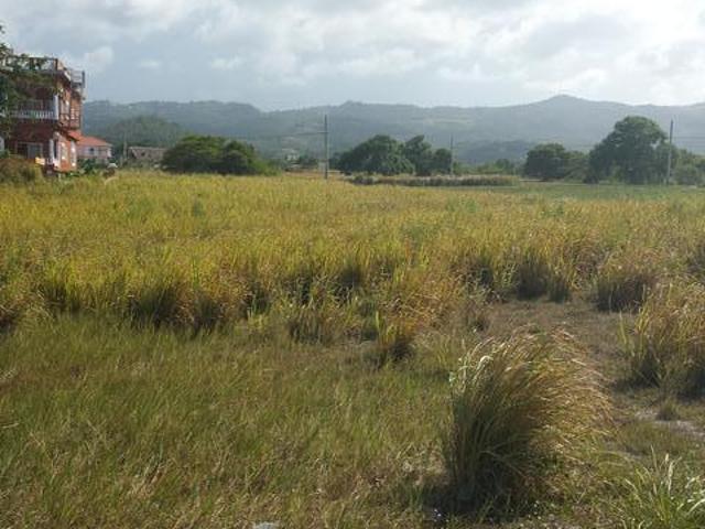 46967 LOT119 PLANTATION VILLAGE
