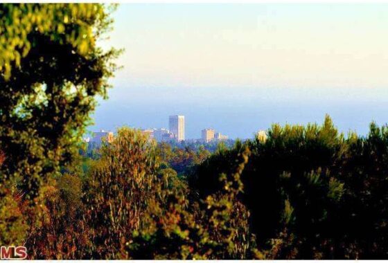 48109 12447 Deerbrook Lane
