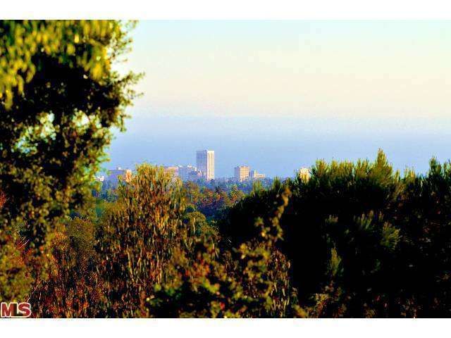 48109 12447 Deerbrook Lane