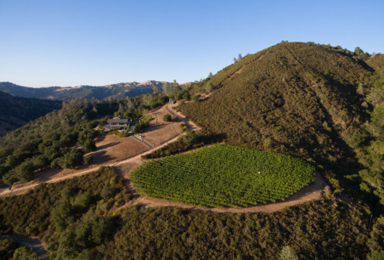49045 3040 Chiles Pope Valley Road