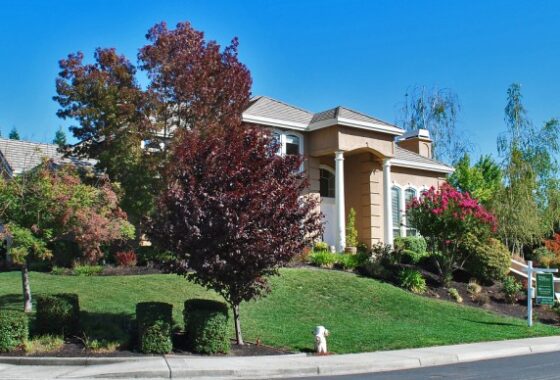 49899 112 Laurelwood Drive