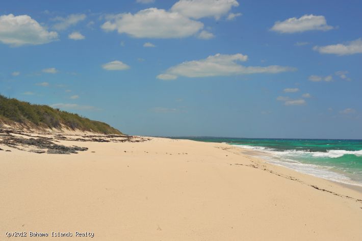 51768 THIRTY TWO ACRES BEACHFRONT GREGORY TOWN