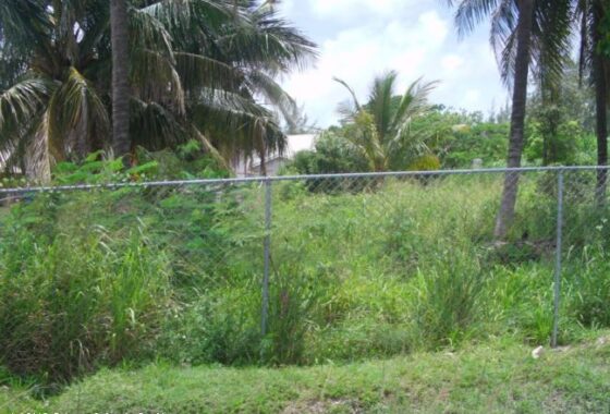 51769 HAROLD RD TONIQUE DARLING HWY.