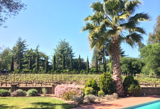 52309 1800 Cabernet Lane