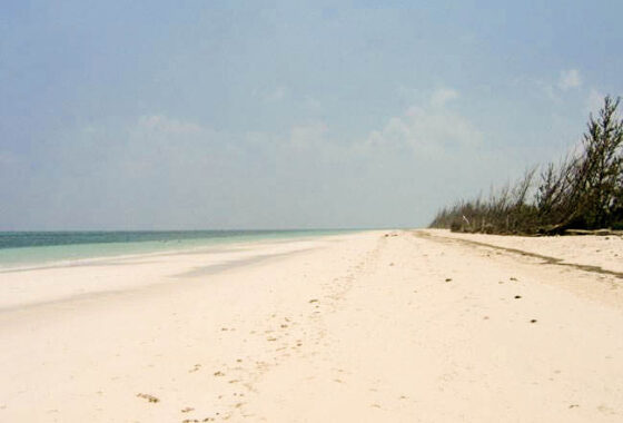 53846 Beachfront Tract in High Rock