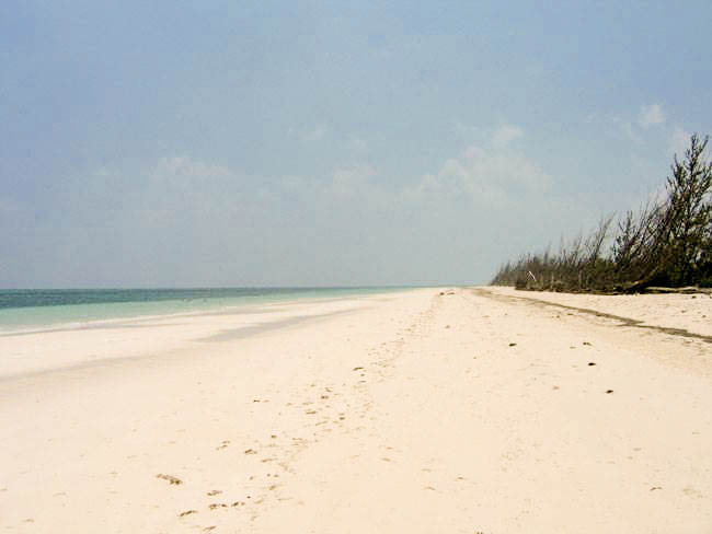 53846 Beachfront Tract in High Rock