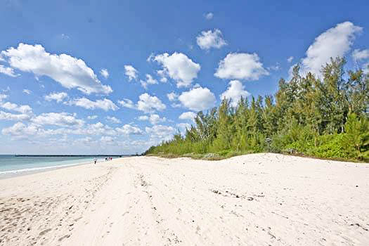 53858 Prime Development Property on Lucayan Beach