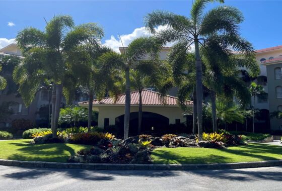 56282C1710359627157 500 Plantation Dr PH