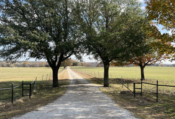 6411C1670272896003 8358 County Road