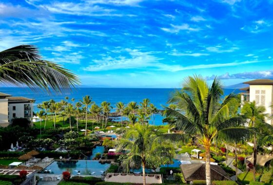 64271C1753228718567 1 Bay Drive
