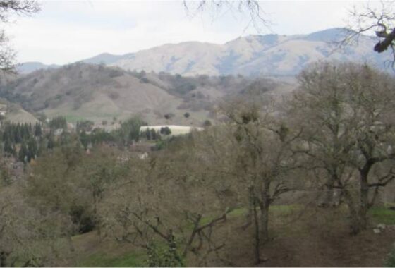 64550 740 EL PINTADO RD