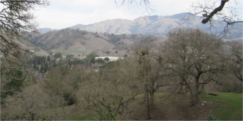 64550 740 EL PINTADO RD
