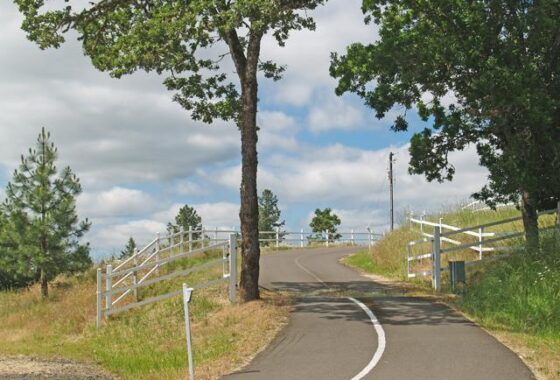65438 32209 Fox Hollow Road